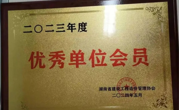 長沙工程建設項目管理有限責任公司,湖南中新工程,長建監理,工程監理服務,招標代理服務,造價咨詢服務